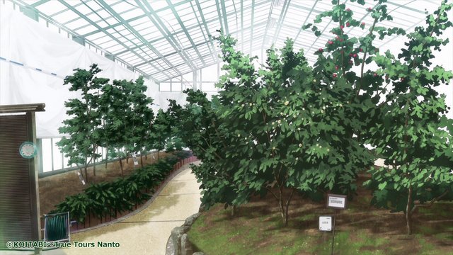 Encounter in the Camellia Greenhouse